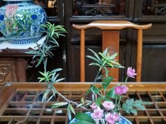 -白鹭原茶艺馆
