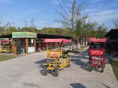 -上海长兴岛郊野公园