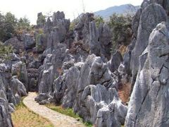 -千岛湖石林
