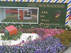 -荷兰花海