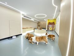 -奶牛家宠物酒店(嘉宏云顶店)