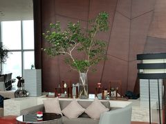 -君悦酒店·大堂酒吧·高空下午茶·暮色微醺