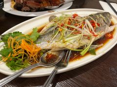 清蒸魚-文兴酒家(Chinatown - Gerrard Street)