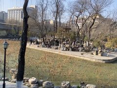 -莲湖公园