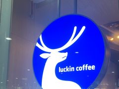 -瑞幸咖啡(深圳宝安机场国内到达厅店)