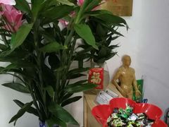 -益友堂盲人推拿正骨穴位按摩工作室