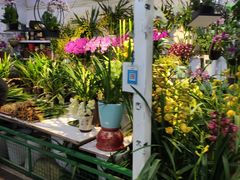 -三旗百汇商品城