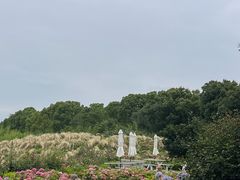 -嘉北郊野公园