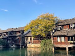 -乌镇景区
