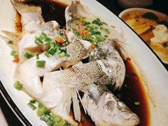葱油鲈鱼-新白鹿餐厅(金鹰新街口店)