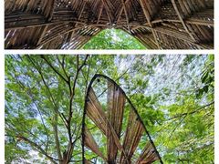 -南沙水鸟世界生态园
