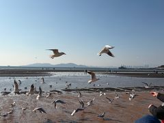 -青岛海滨风景区