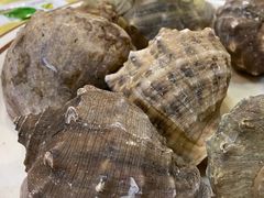 -贺富酒家(白藤二路分店)