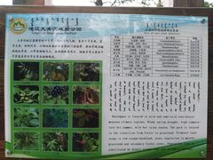 导游图-大青沟风景区