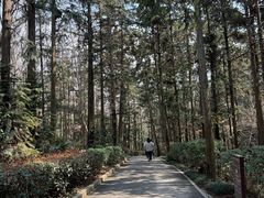-冶父山国家森林公园