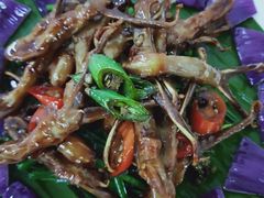 -锦粤宫·精致粤菜(深圳北站店)