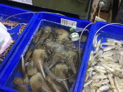 -QQ海鲜餐厅