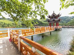 -永州阳明山国家森林公园