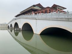 -大湾区中央湿地公园