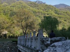-牛背梁国家森林公园