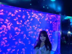 -沈阳海洋探索中心