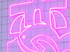 -老板恋上鱼(印象城店)