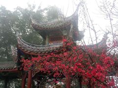 -丰都鬼城名山景区