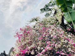 -深圳国际园林花卉博览园