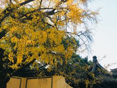 -无锡惠山寺