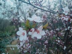 -山东大学(趵突泉校区)
