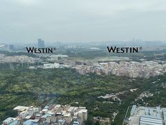 -广交会威斯汀酒店