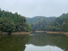 -千岛湖龙川湾