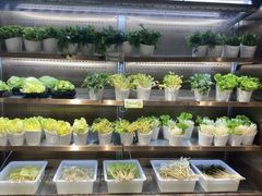 自助取餐区-串一火锅(赛格国际购物中心店)