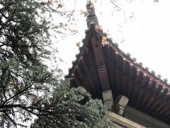 -南京财经大学(仙林校区)