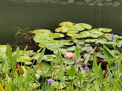 -南北湖风景区