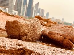 -九龙餐厅(大沽路店)