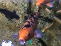-常州海昌海洋探索馆