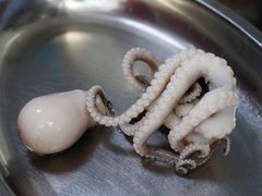 -铭聚章鱼土笋冻(松柏店)