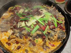 -老板恋上鱼(恒隆广场店)