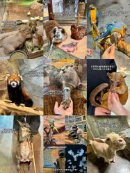 -Zoolung Zoolung动物主题公园(海信广场店)