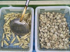 -老太太海鲜城(森林公园任家台店)
