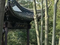 -上海佘山国家森林公园天马山园