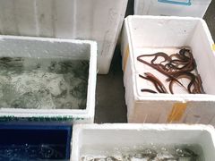 -李东农庄(中南百草园地标店)