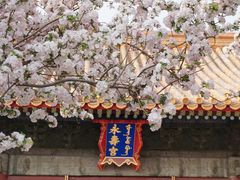 -故宫博物院(故宫)