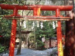 -野宫神社