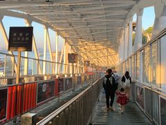 -武汉关码头(轮渡站)