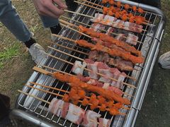 -崇明东平国家森林公园烧烤房车露营地