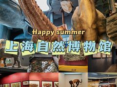 -上海自然博物馆
