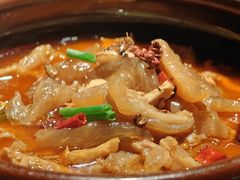 -清水亭湖北菜(大屯DT51店)