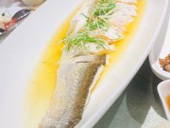 -金枝玉叶上海人家食府(三里河店)